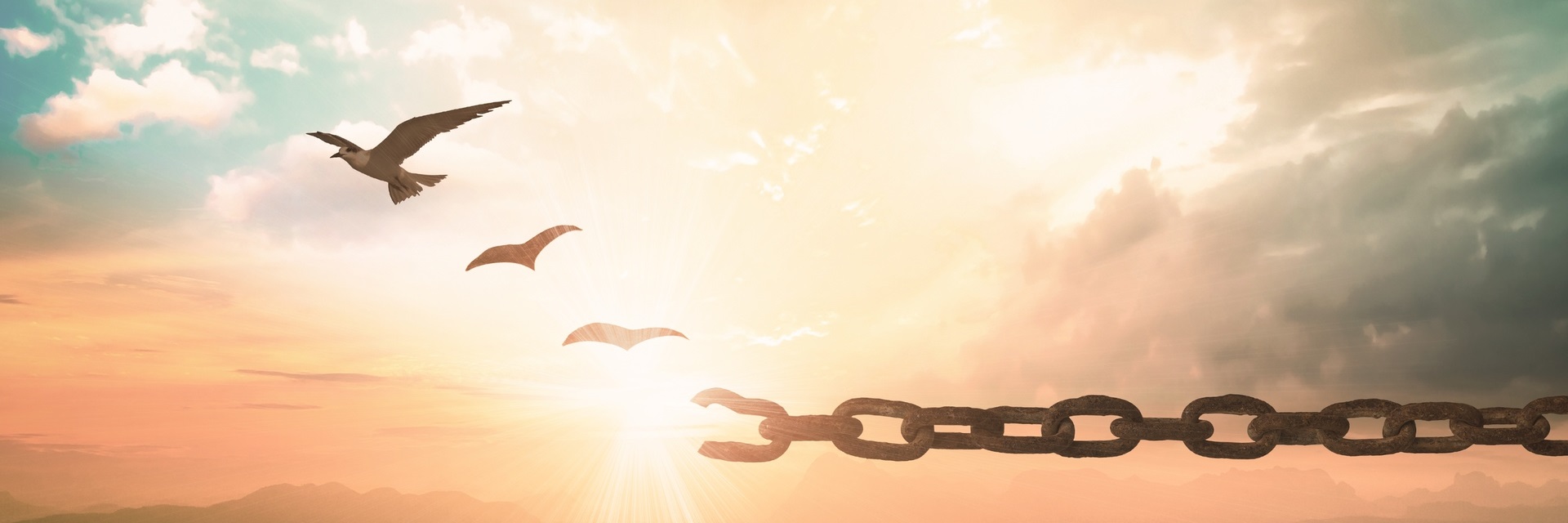 Comprehensive Coverage